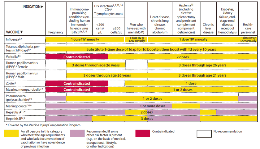 The figure shows vaccines that might be indicated for adults, based on medical and other indications in the United States, during 2012. For Figure 2, a new column was added for men who have sex with men (MSM) to note in the figure that MSM is an indication for HPV, hepatitis A, and hepatitis B vaccines.
 In addition, the diabetes indication was moved to the same col¬umn as chronic kidney disease to accommodate the new recom¬mendation for hepatitis B vaccination of persons with diabetes. 
 Because pregnant women not previously vaccinated with Tdap are now preferentially recommended for vaccination with Tdap during later pregnancy (>20 weeks gestation), the yellow bar has been extended across all risk groups.
 The HPV vaccine bar was separated into a bar for females and one for males. The bar for females is unchanged from the previous year except that the bar was extended to include HCP to clarify that HCP who are in the recommended age group for receipt of HPV vaccine are recommended for vaccination. 
 Lastly, the HPV vaccine bar for males was added and indicates that all males through age 26 should be vaccinated if they are immunocompromised, have HIV, or are MSM. However, the age indication is through age 21 for males with or without these risk factors.
